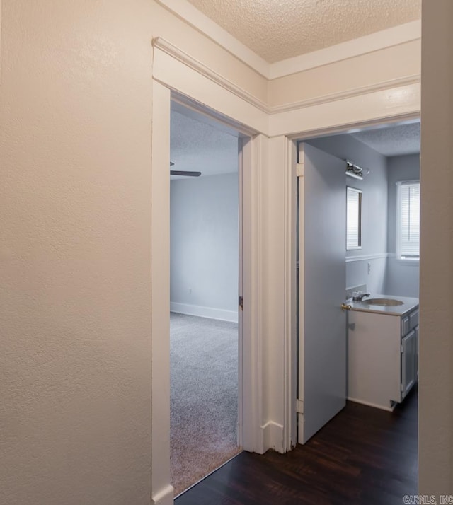 hallway with dark hardwood / wood-style floors, sink, and a textured ceiling