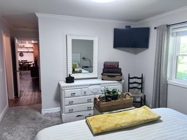 carpeted bedroom with crown molding