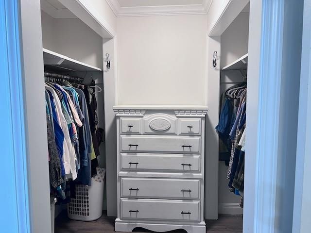 spacious closet with dark wood-type flooring