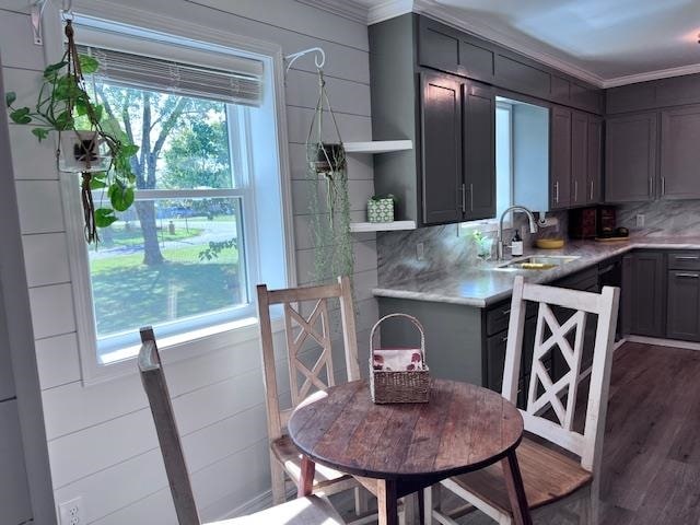 kitchen with tasteful backsplash, ornamental molding, sink, and dark hardwood / wood-style flooring