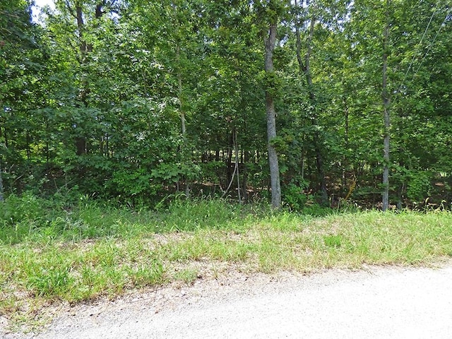 Katsina Cir, Cherokee Village AR, 72529 land for sale