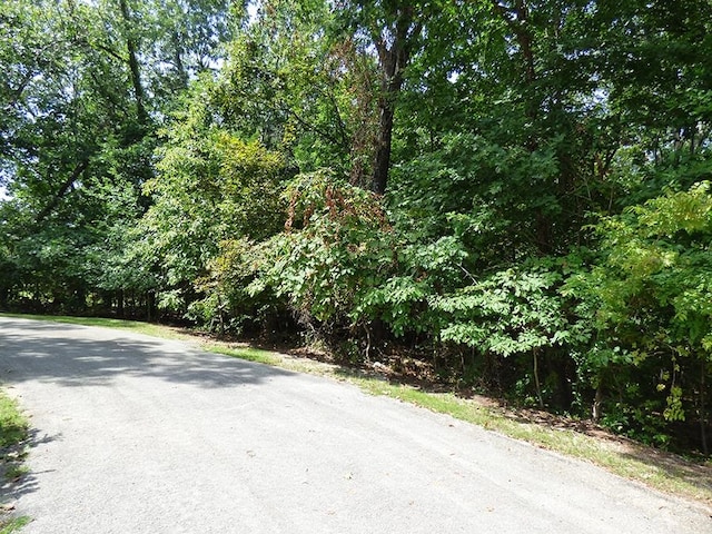 Listing photo 2 for Alamo Trl, Cherokee Village AR 72529