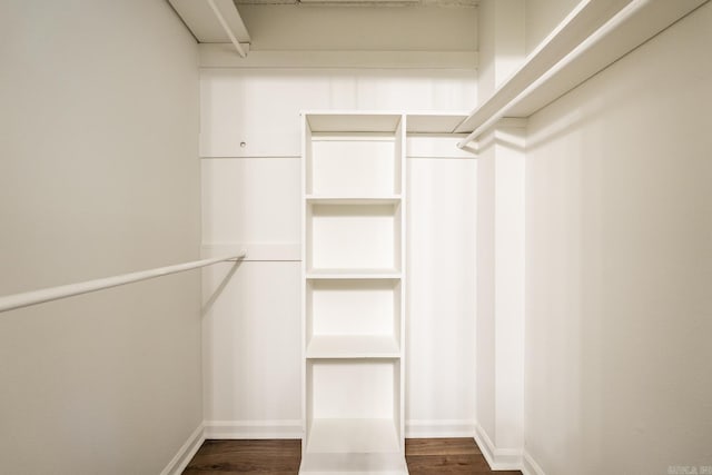 spacious closet featuring dark hardwood / wood-style flooring