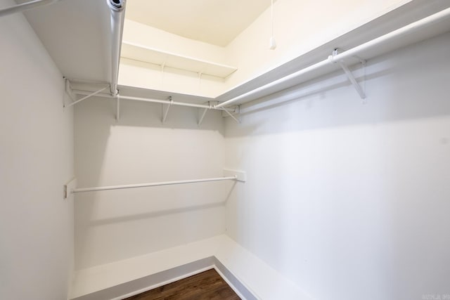 walk in closet featuring wood-type flooring