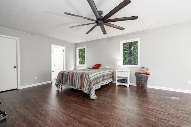 bedroom with multiple windows, ceiling fan, and dark wood-type flooring