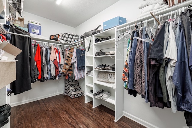 spacious closet with wood-type flooring