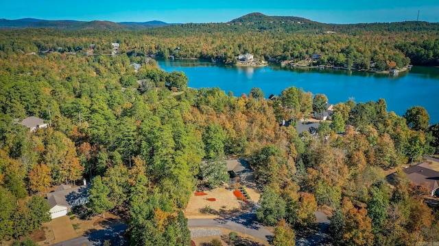 bird's eye view featuring a water and mountain view