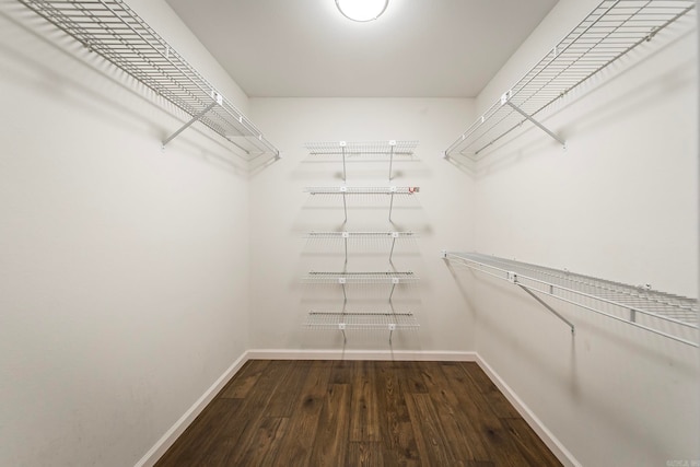 spacious closet featuring hardwood / wood-style floors