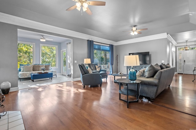 living room with wood-type flooring, ornamental molding, and a healthy amount of sunlight