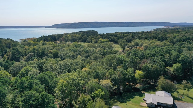 drone / aerial view with a water and mountain view