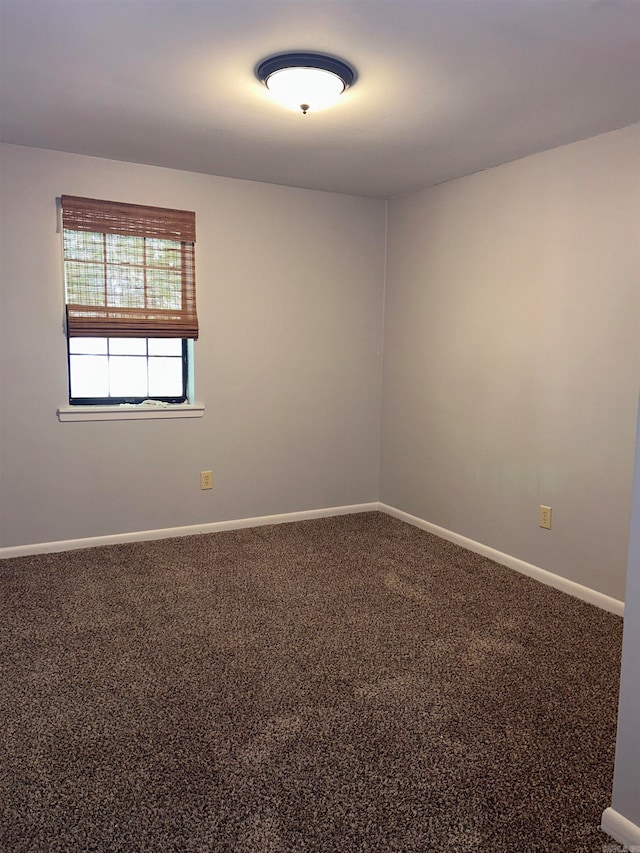 spare room with carpet floors