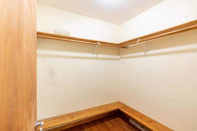 spacious closet with wood-type flooring