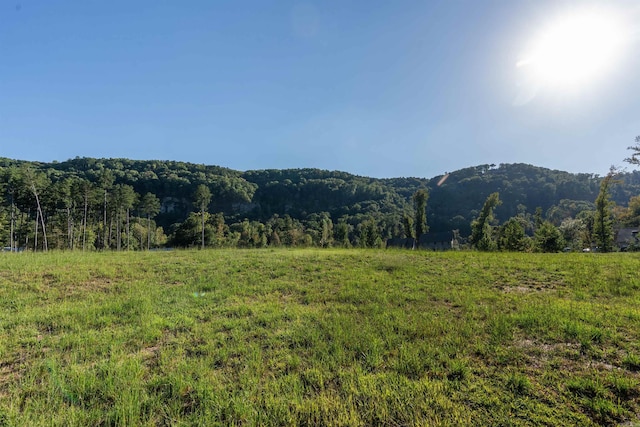 view of mountain feature with a rural view