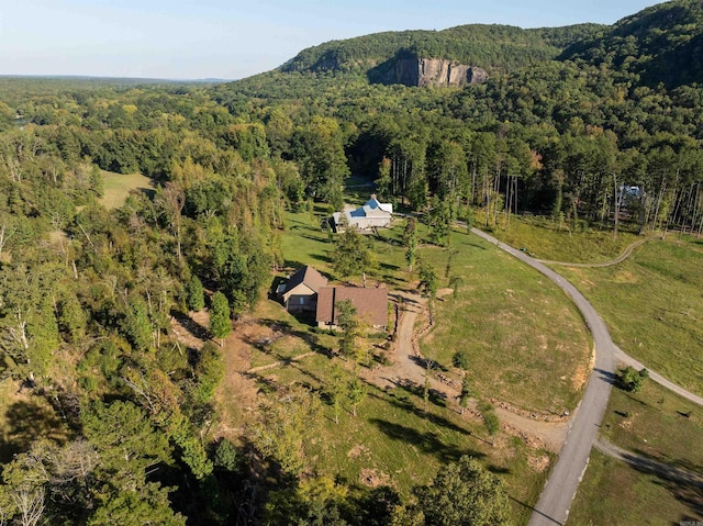 drone / aerial view featuring a mountain view and a rural view