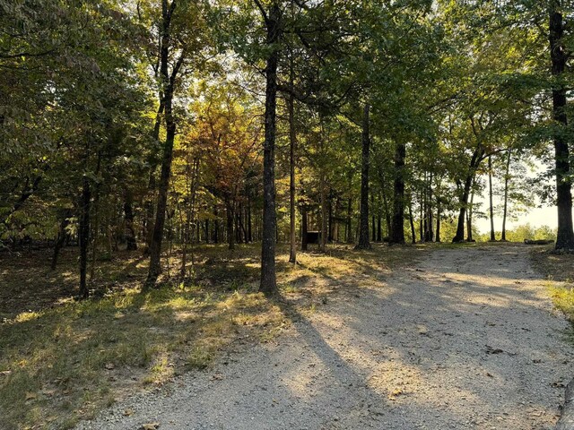 6990 Promise Land Rd, Mountain Home, AR 72653