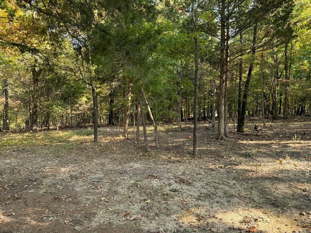 6990 Promise Land Rd, Mountain Home, AR 72653