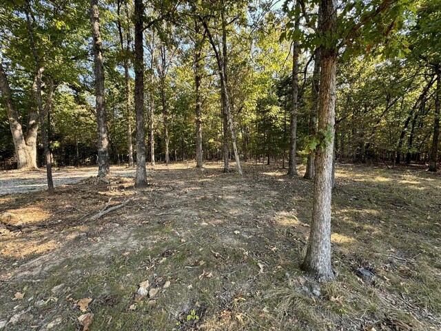 6990 Promise Land Rd, Mountain Home, AR 72653