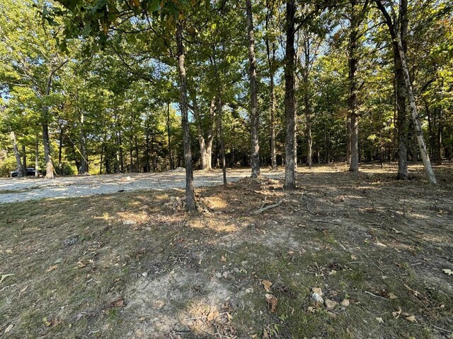 6990 Promise Land Rd, Mountain Home, AR 72653