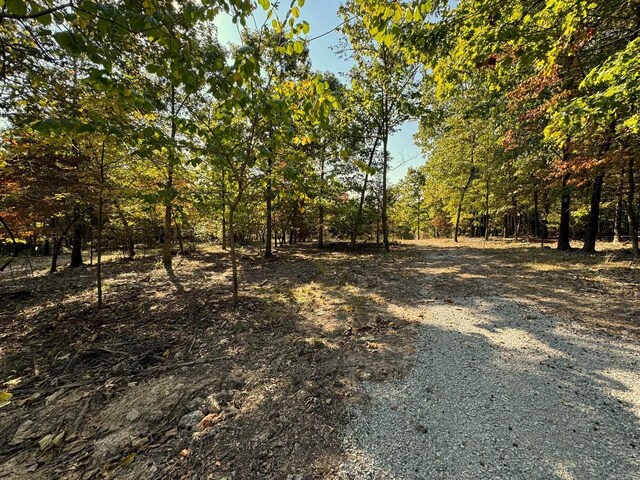 6990 Promise Land Rd, Mountain Home, AR 72653