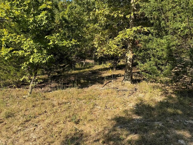 6990 Promise Land Rd, Mountain Home, AR 72653