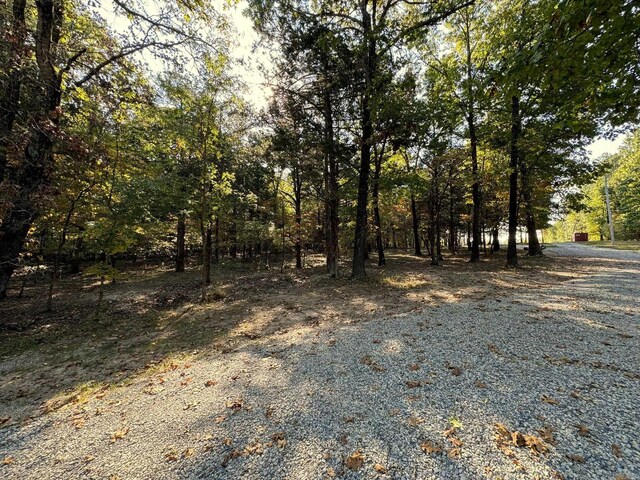 6990 Promise Land Rd, Mountain Home, AR 72653