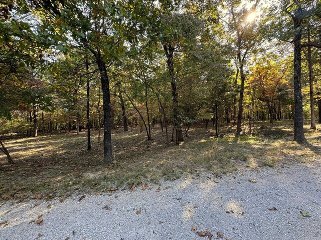6990 Promise Land Rd, Mountain Home, AR 72653