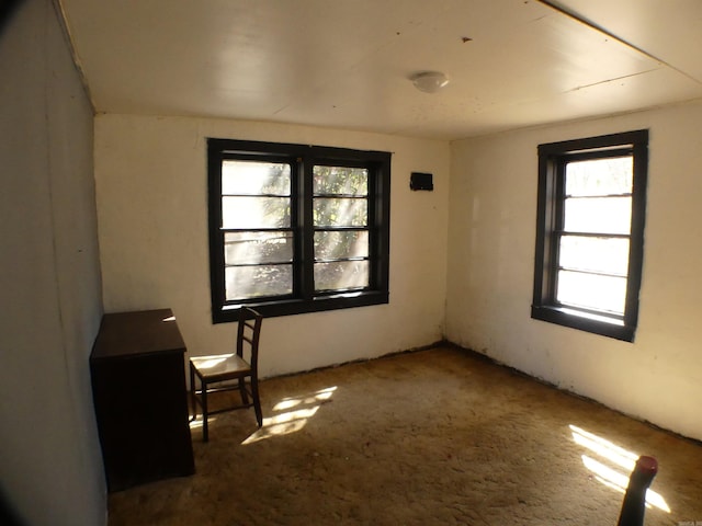 view of carpeted spare room