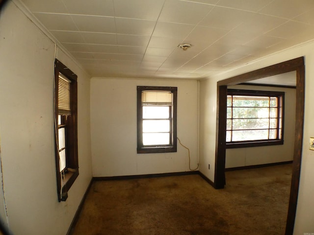 spare room with carpet floors, baseboards, and a wealth of natural light
