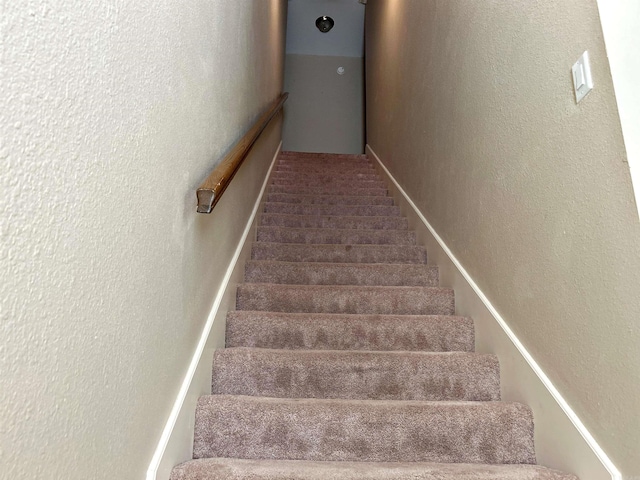 stairs with carpet flooring