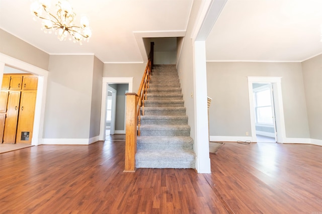 stairway featuring wood-type flooring, crown molding, and a wealth of natural light