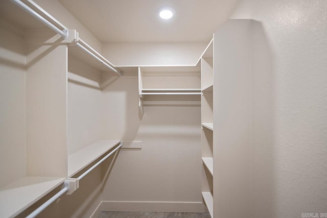 view of spacious closet