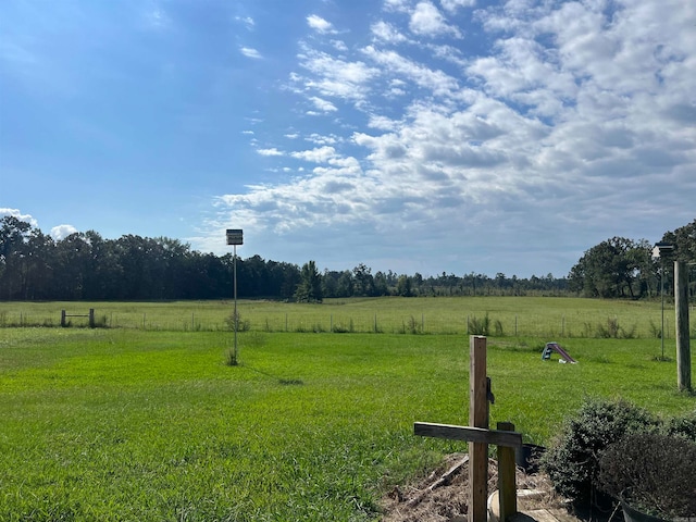 view of yard with a rural view