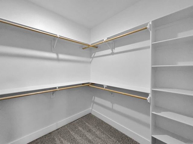 spacious closet with carpet flooring