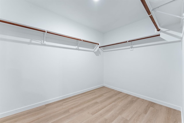 walk in closet featuring light hardwood / wood-style flooring