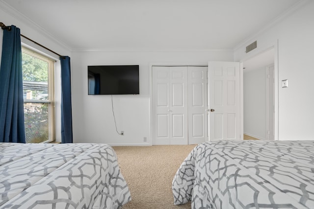 bedroom featuring carpet floors, a closet, and ornamental molding