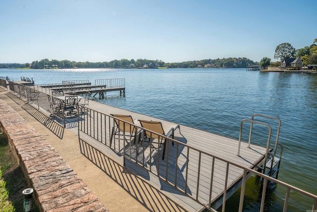 dock area with a water view