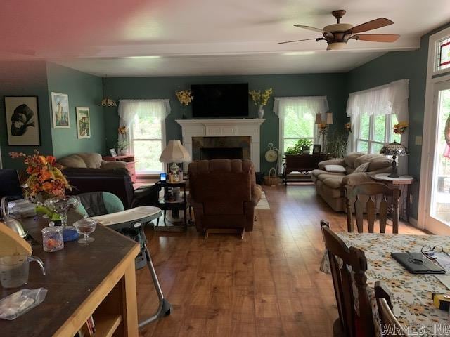 living room featuring hardwood / wood-style flooring, ceiling fan, and a wealth of natural light