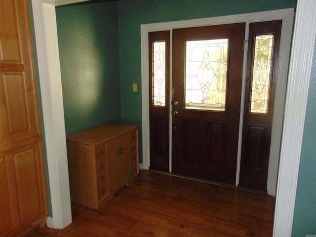 foyer entrance with dark hardwood / wood-style floors