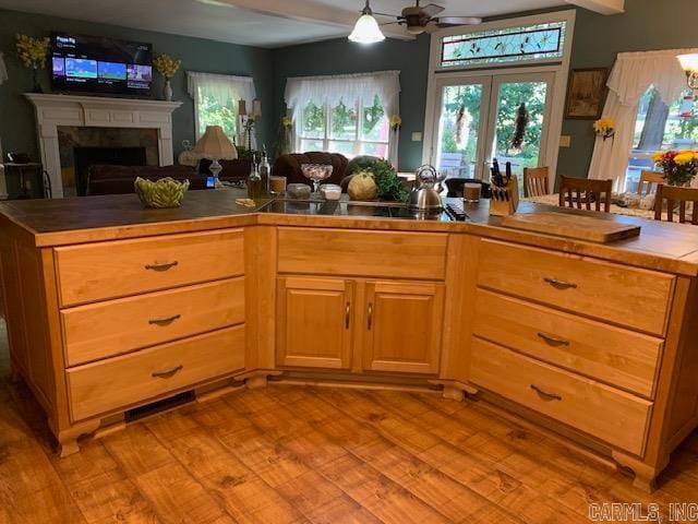 kitchen with french doors, light hardwood / wood-style flooring, and ceiling fan