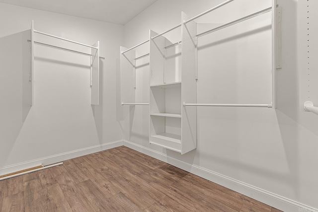 spacious closet with hardwood / wood-style floors