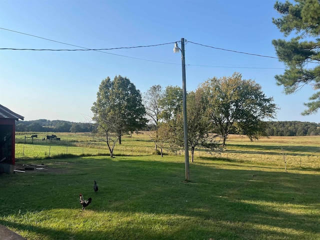 view of yard featuring a rural view