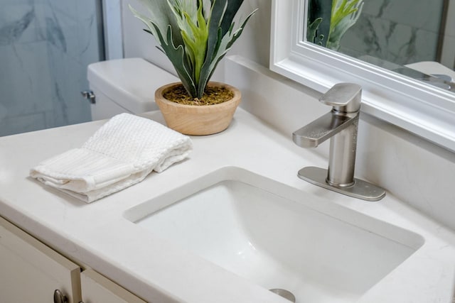 room details featuring toilet and sink