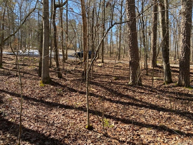 Listing photo 2 for LOT8 Gancho Way, Hot Springs Village AR 71909