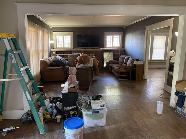 living room featuring a healthy amount of sunlight, dark hardwood / wood-style flooring, and ornamental molding