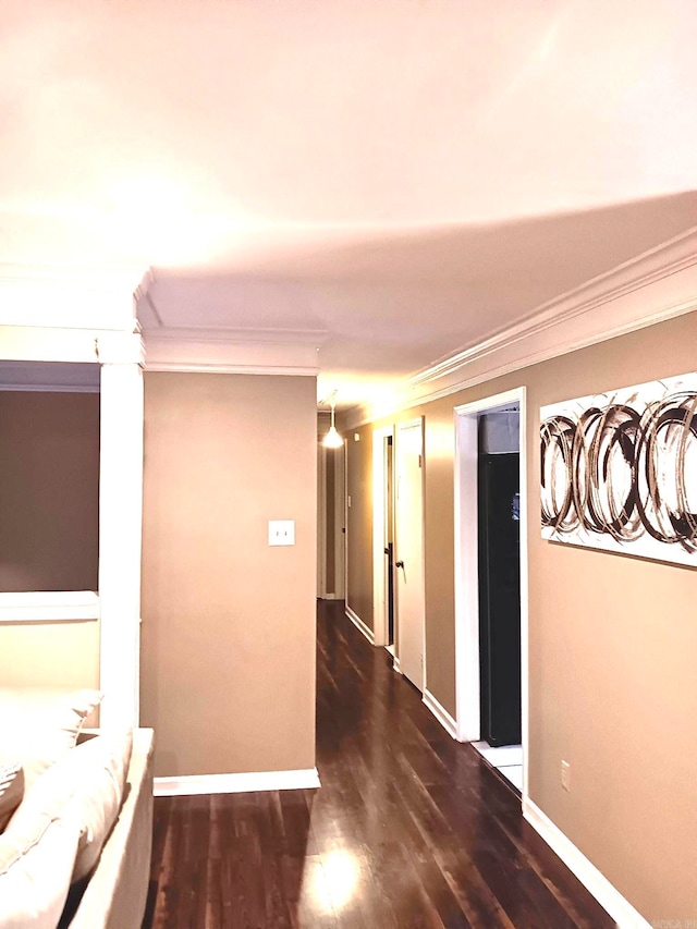 hallway featuring dark wood-type flooring and ornamental molding