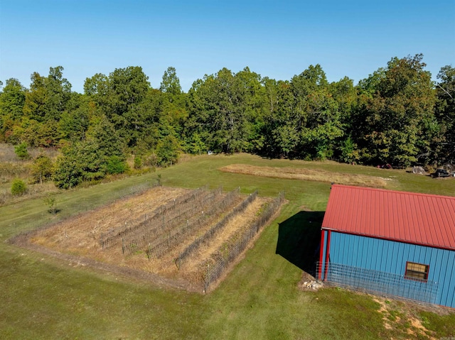 10 Strawberry Valley Rd, Ash Flat, AR 72513 - drone / aerial view
