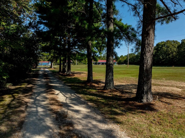 view of property's community with a lawn