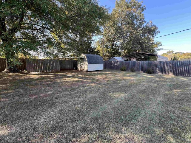 view of yard with a storage shed