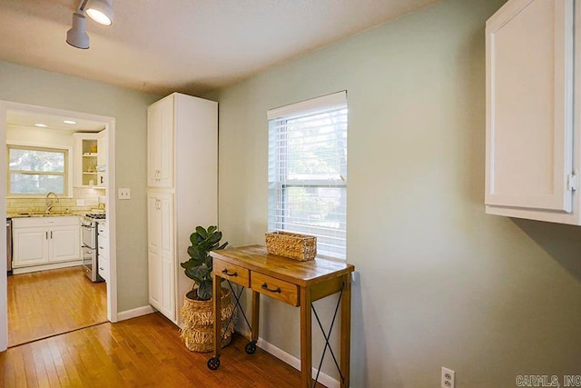 interior space with light hardwood / wood-style flooring and sink