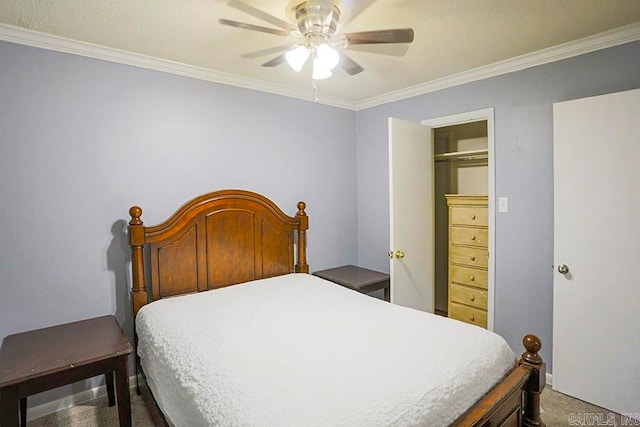 bedroom featuring ornamental molding, ceiling fan, a closet, and carpet flooring